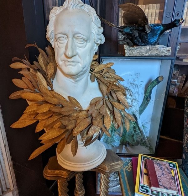 bust